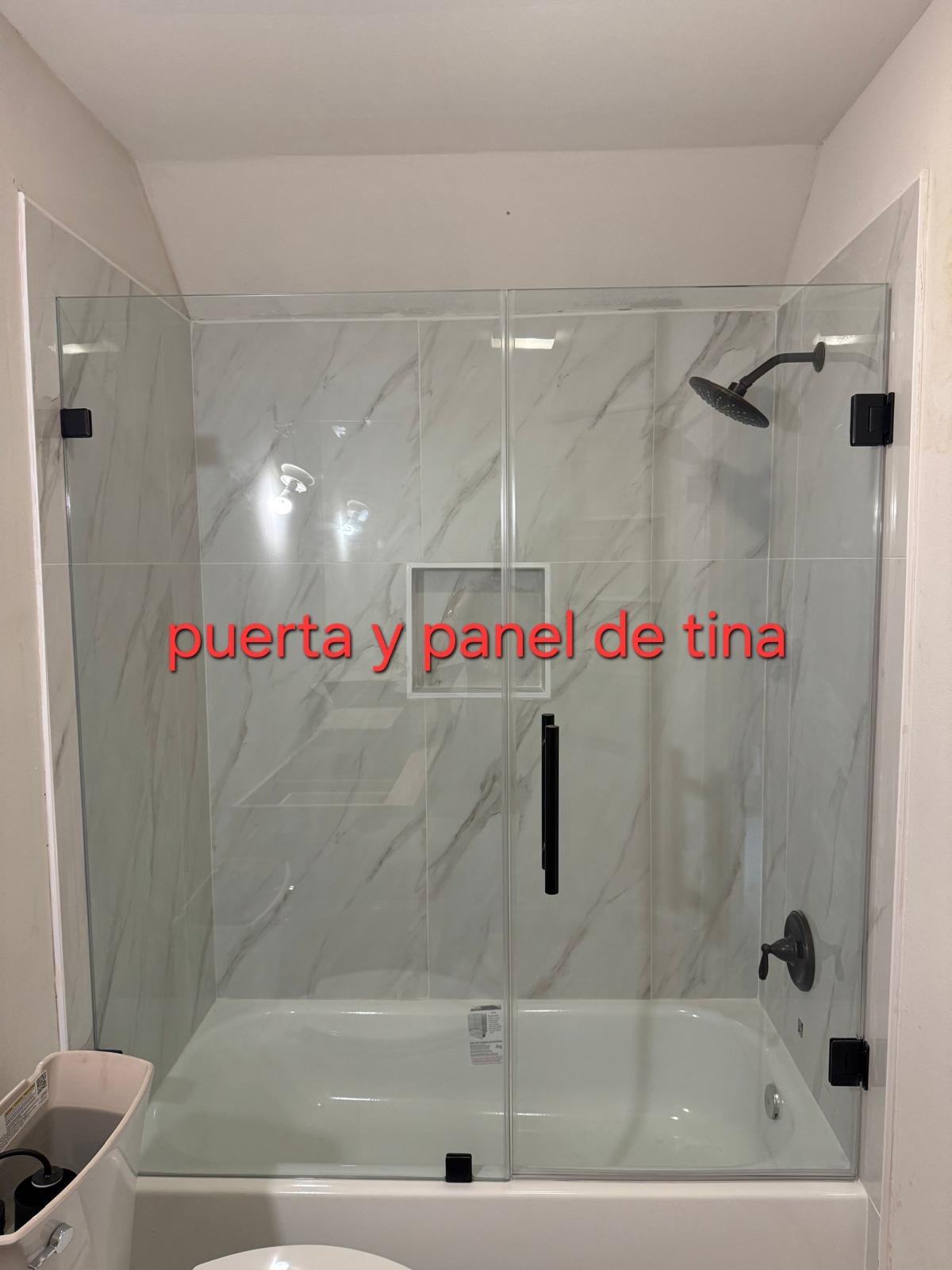 Tub door and panel